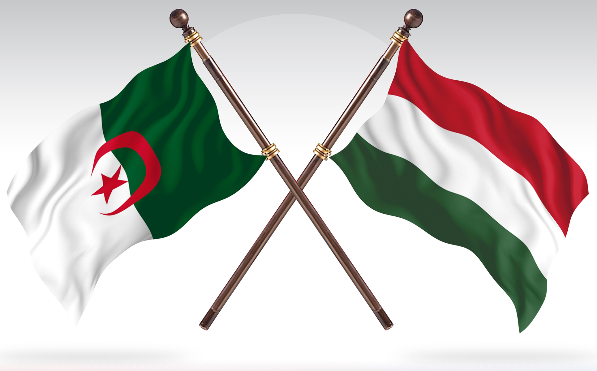 Download Иллюстрация "Algeria versus Hungary Two Countries Flags - Illustration" / Algeria versus Hungary Two Countries Flags - Illustration - Иллюстрация на тему графика national,patriotic,europe,asia,republic,map,flag,country,cartography,geography,nation,illustration,graphic,vector,state,world,isolated,symbol,border,icon