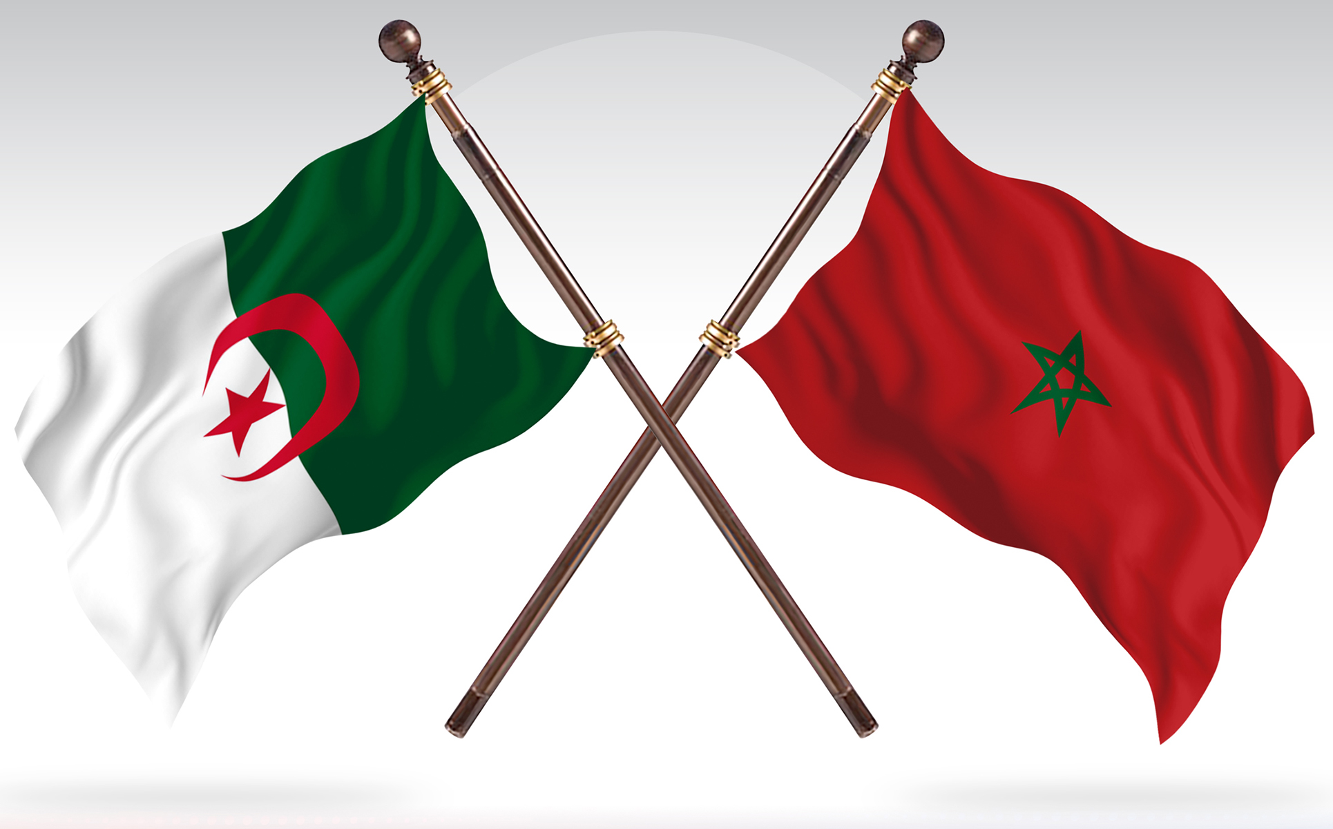 Download Иллюстрация "Albania versus Morocco Two Countries Flags - Illustration" / Albania versus Morocco Two Countries Flags - Illustration - Иллюстрация на тему графика national,patriotic,europe,asia,republic,map,flag,country,cartography,geography,nation,illustration,graphic,vector,state,world,isolated,symbol,border,icon