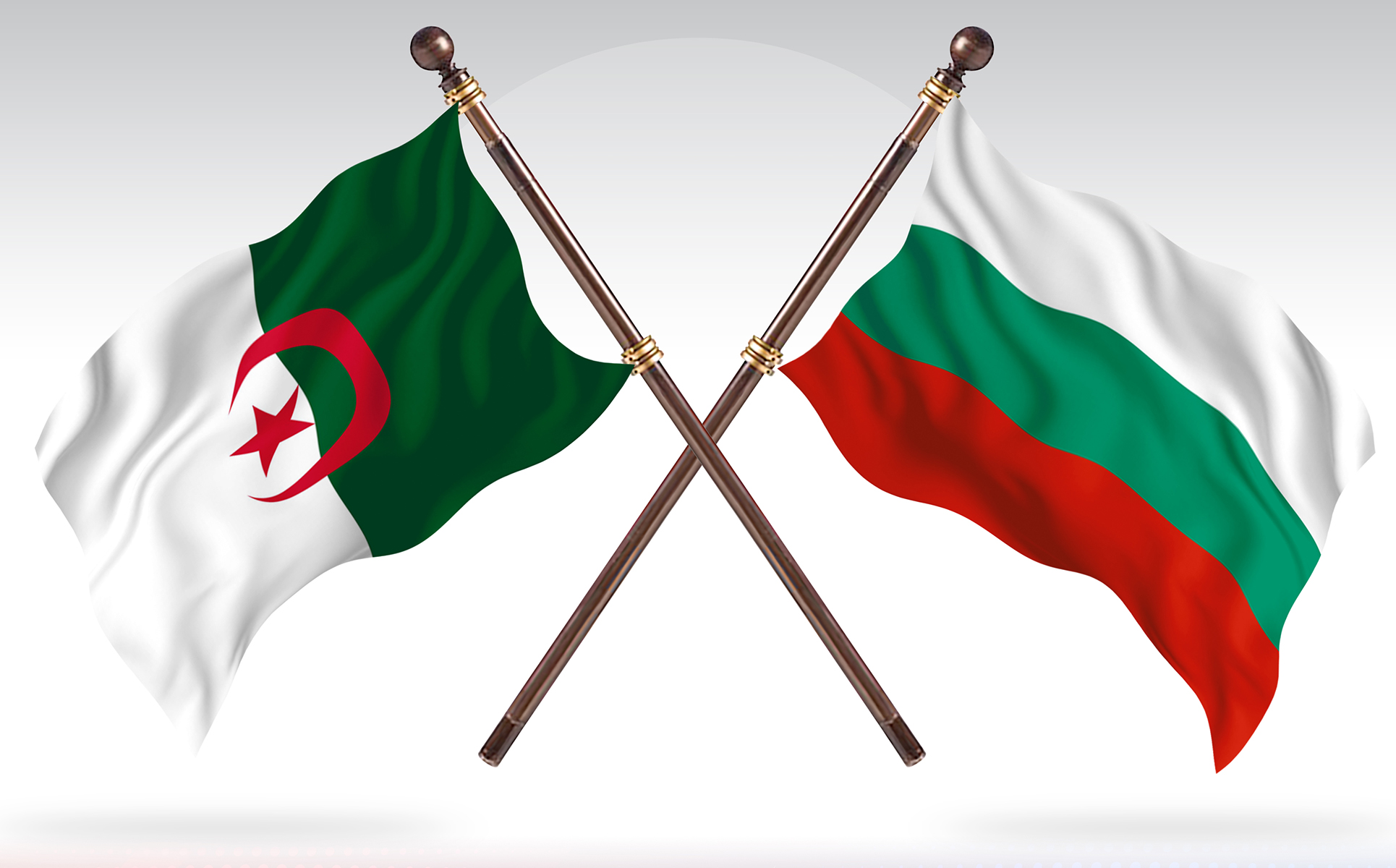 Download Иллюстрация "Algeria versus Bulgaria Two Countries Flags - Illustration" / Algeria versus Bulgaria Two Countries Flags - Illustration - Иллюстрация на тему графика national,patriotic,europe,asia,republic,map,flag,country,cartography,geography,nation,illustration,graphic,vector,state,world,isolated,symbol,border,icon