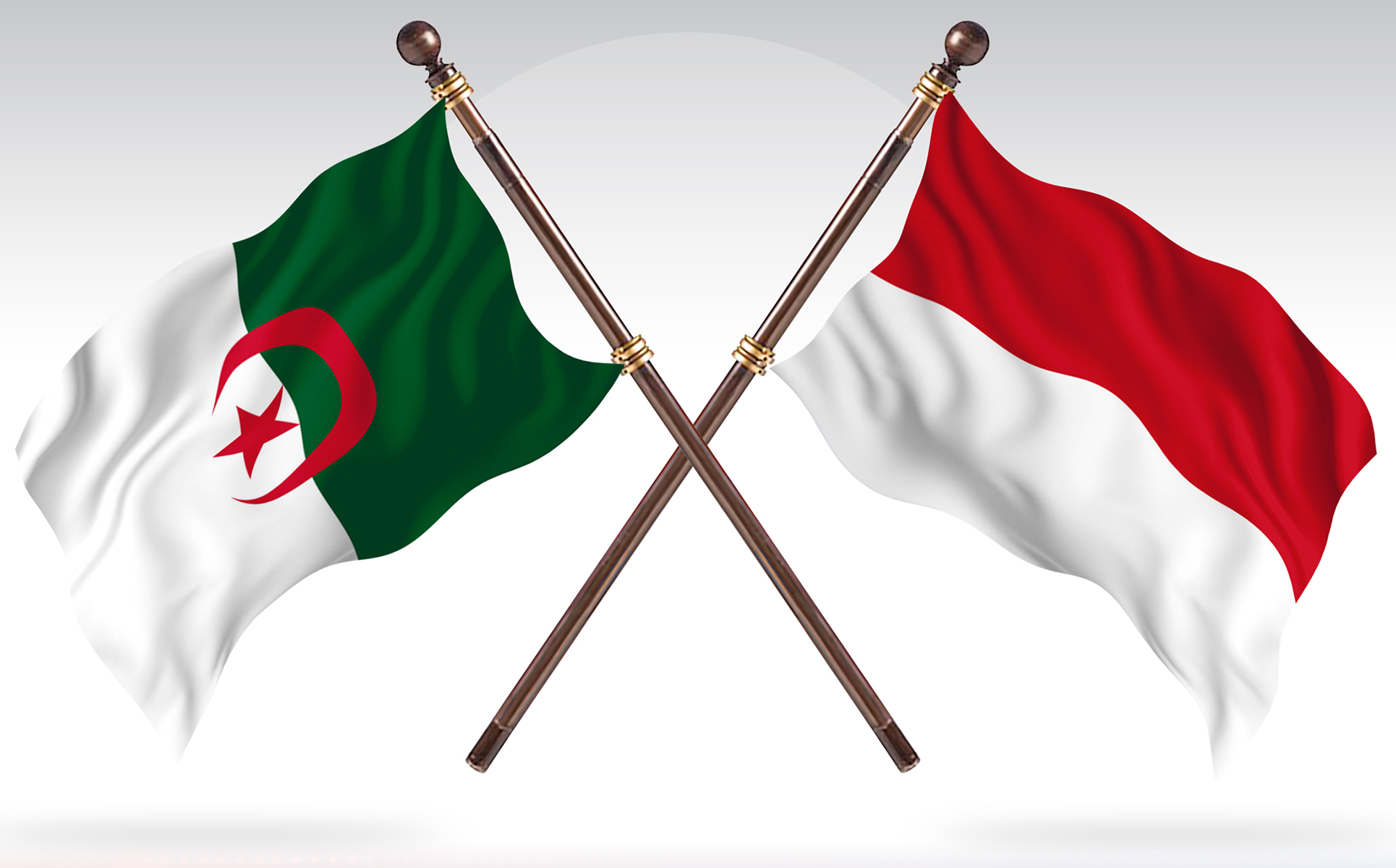 Download Иллюстрация "Albania versus Indonesia Two Countries Flags - Illustration" / Albania versus Indonesia Two Countries Flags - Illustration - Иллюстрация на тему графика national,patriotic,europe,asia,republic,map,flag,country,cartography,geography,nation,illustration,graphic,vector,state,world,isolated,symbol,border,icon