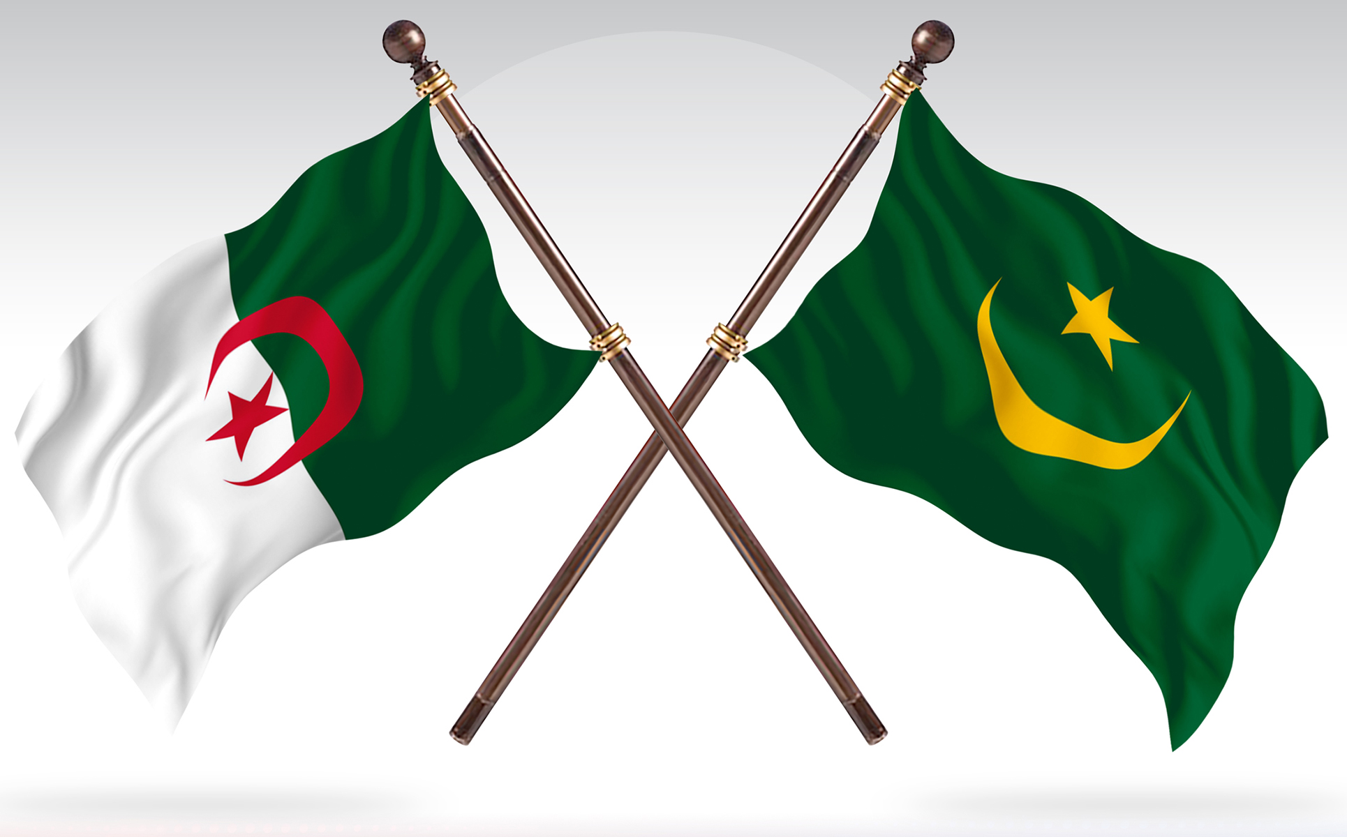 Download Иллюстрация "Albania versus Mauritania Two Countries Flags - Illustration" / Albania versus Mauritania Two Countries Flags - Illustration - Иллюстрация на тему графика national,patriotic,europe,asia,republic,map,flag,country,cartography,geography,nation,illustration,graphic,vector,state,world,isolated,symbol,border,icon