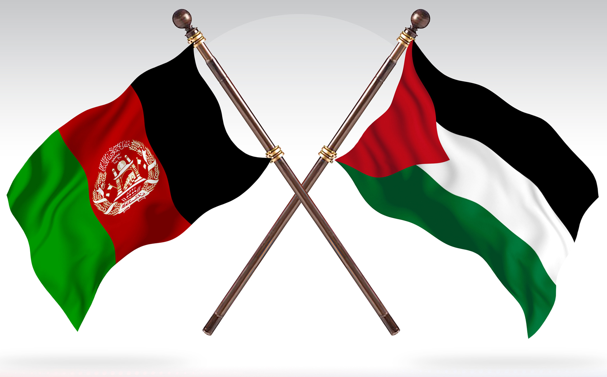 Download Иллюстрация "Afghanistan versus Palestinian Two Countries Flags - Illustration" / Afghanistan versus Palestinian Two Countries Flags - Illustration - Иллюстрация на тему графика national,patriotic,europe,asia,republic,map,flag,country,cartography,geography,nation,illustration,graphic,vector,state,world,isolated,symbol,border,icon