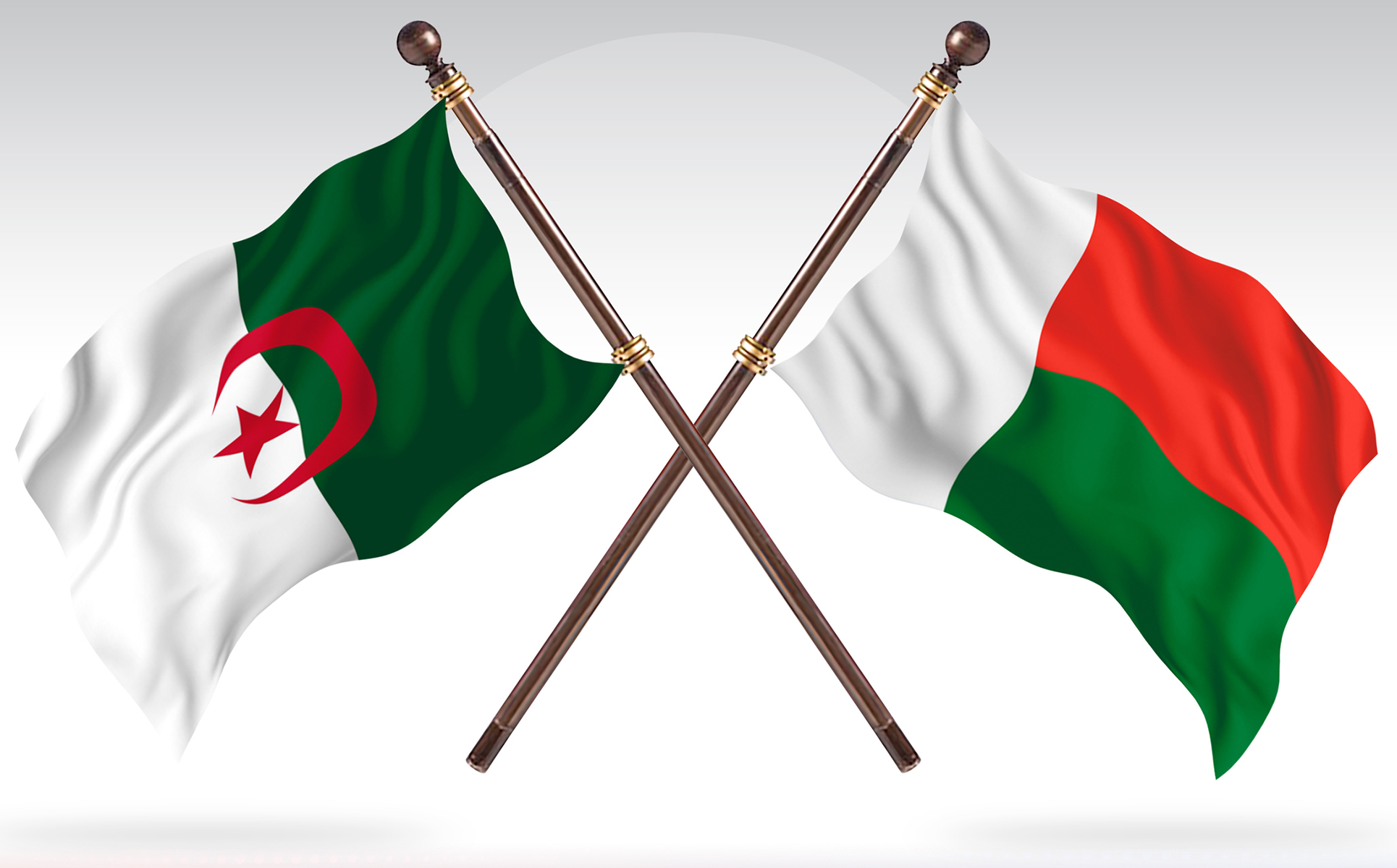 Download Иллюстрация "Albania versus Madagascar Two Countries Flags - Illustration" / Albania versus Madagascar Two Countries Flags - Illustration - Иллюстрация на тему графика national,patriotic,europe,asia,republic,map,flag,country,cartography,geography,nation,illustration,graphic,vector,state,world,isolated,symbol,border,icon