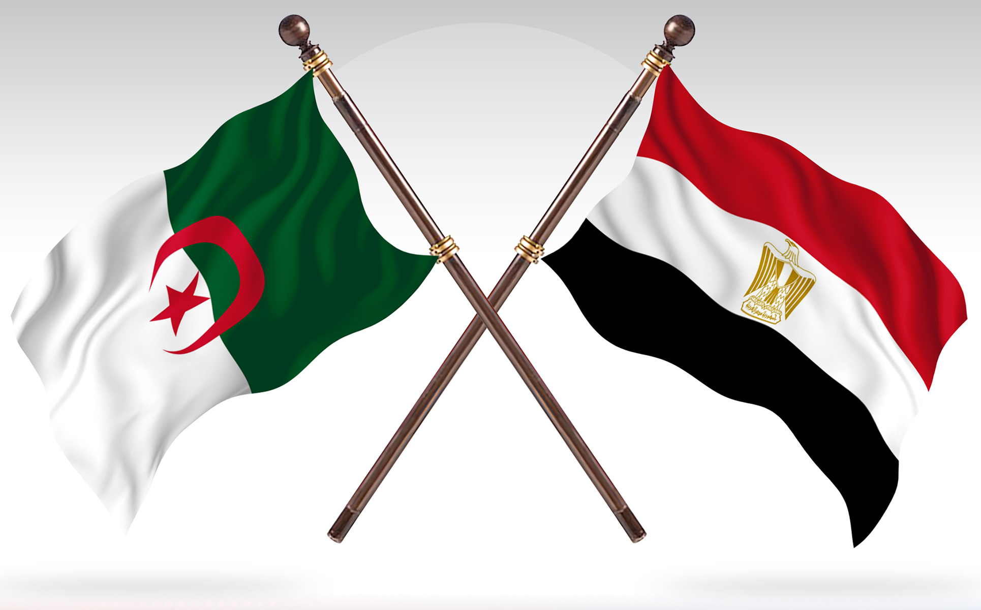 Download Иллюстрация "Algeria versus Egypt Two Countries Flags - Illustration" / Algeria versus Egypt Two Countries Flags - Illustration - Иллюстрация на тему графика national,patriotic,europe,asia,republic,map,flag,country,cartography,geography,nation,illustration,graphic,vector,state,world,isolated,symbol,border,icon
