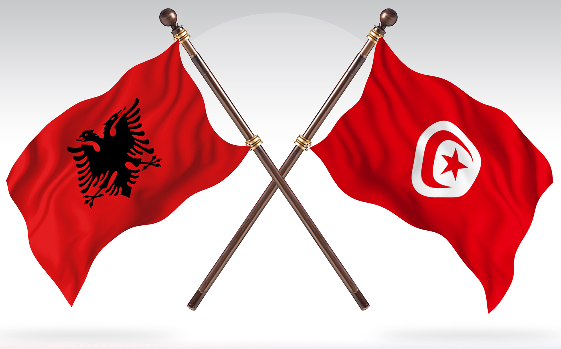 Download Иллюстрация "Albania versus Tunisia Two Countries Flags - Illustration" / Albania versus Tunisia Two Countries Flags - Illustration - Иллюстрация на тему графика national,patriotic,europe,asia,republic,map,flag,country,cartography,geography,nation,illustration,graphic,vector,state,world,isolated,symbol,border,icon