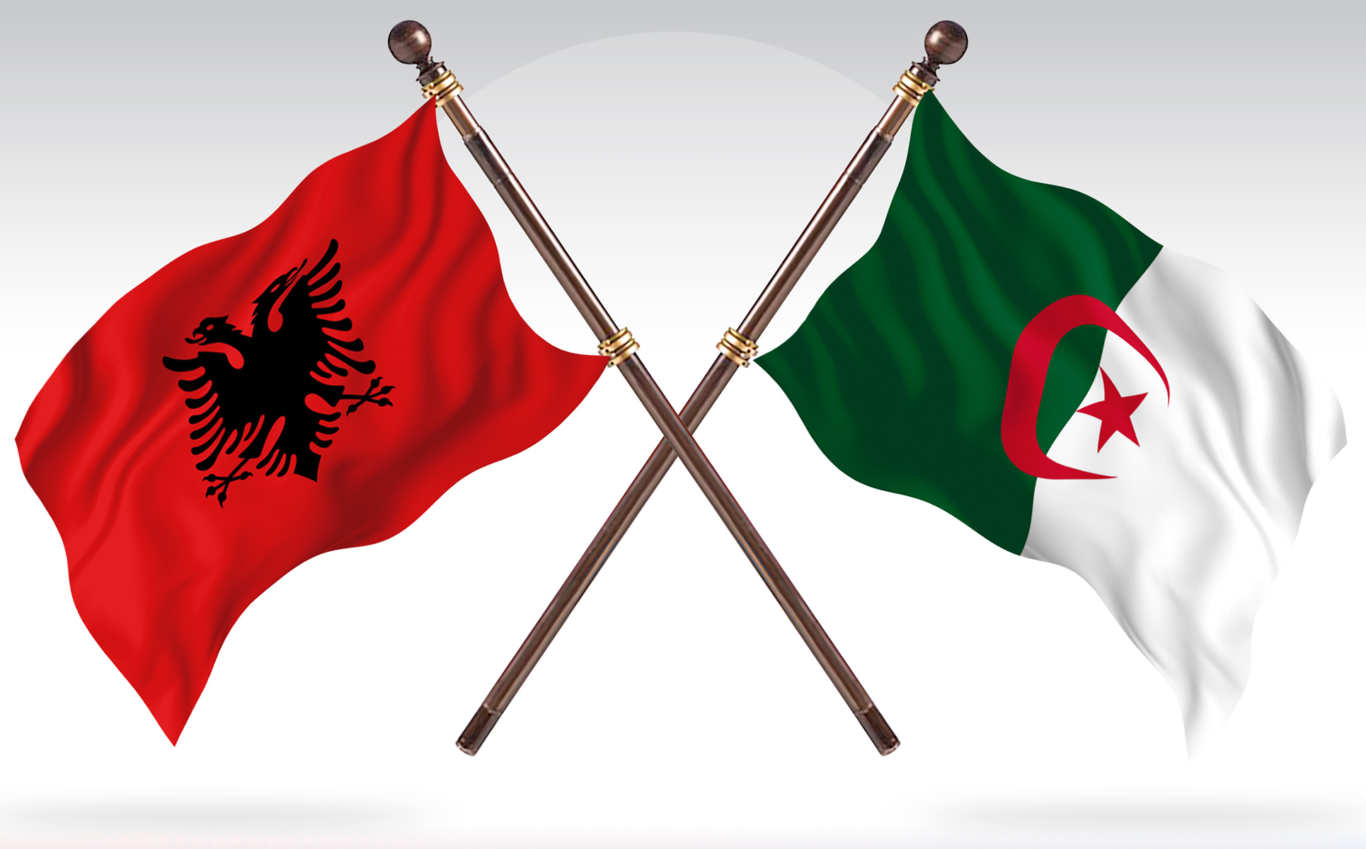 Download Иллюстрация "Albania versus Algeria Two Countries Flags - Illustration" / Albania versus Algeria Two Countries Flags - Illustration - Иллюстрация на тему графика national,patriotic,europe,asia,republic,map,flag,country,cartography,geography,nation,illustration,graphic,vector,state,world,isolated,symbol,border,icon