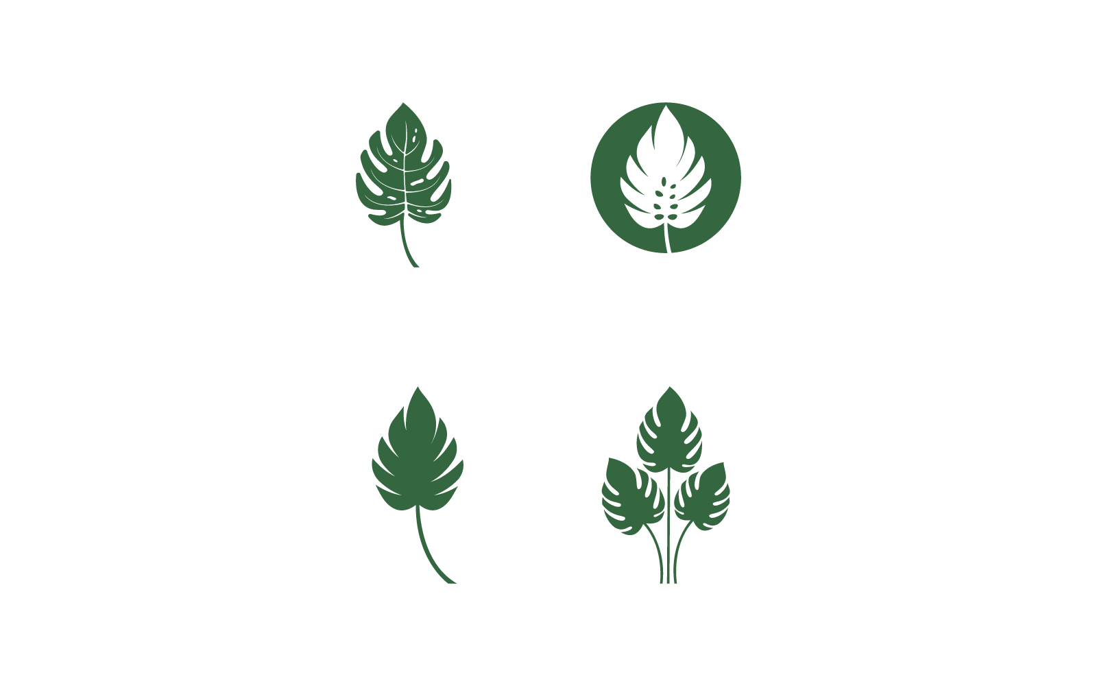 philodendron erubescens imperial green Philodendron Erubescens main image 0